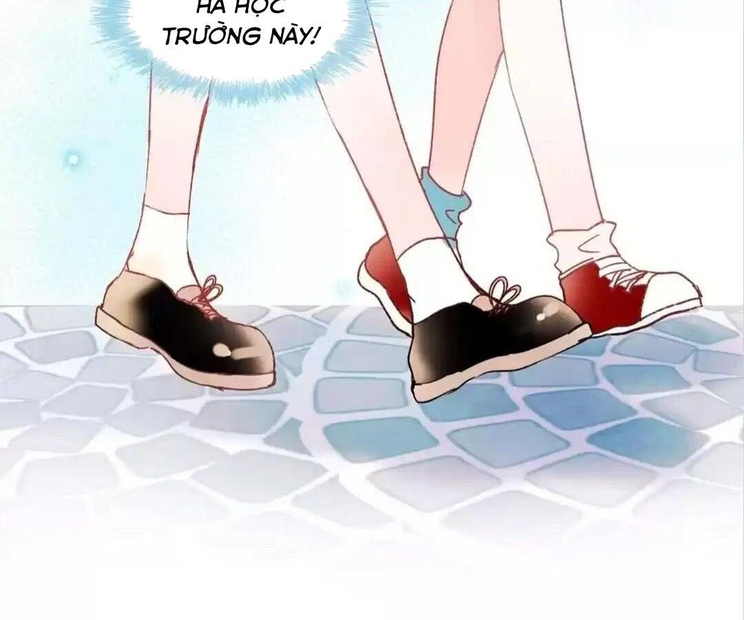 Thành Bại Vì Tiêu Hà Chapter 35 - Trang 2