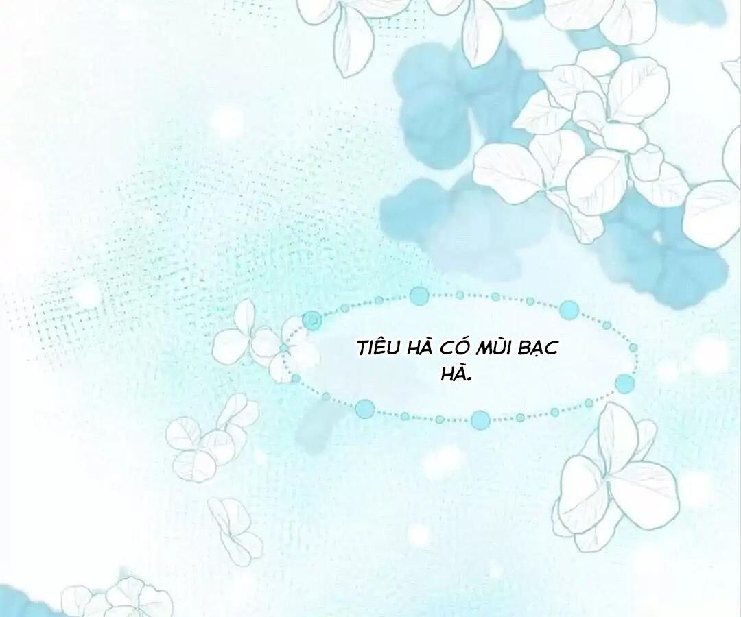 Thành Bại Vì Tiêu Hà Chapter 36 - Trang 2