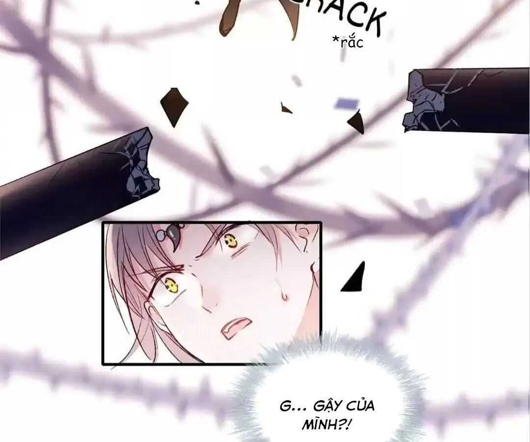 Thành Bại Vì Tiêu Hà Chapter 37 - Trang 2