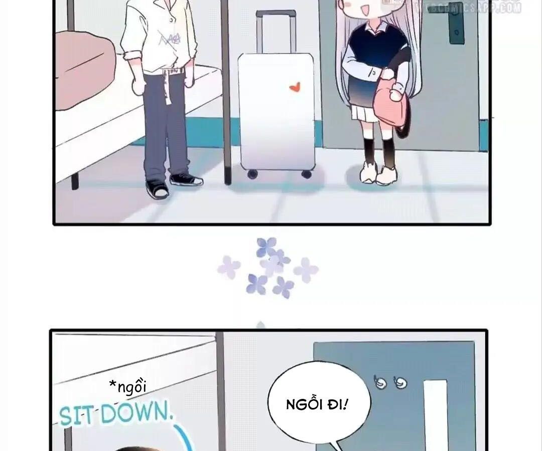 Thành Bại Vì Tiêu Hà Chapter 40 - Trang 2