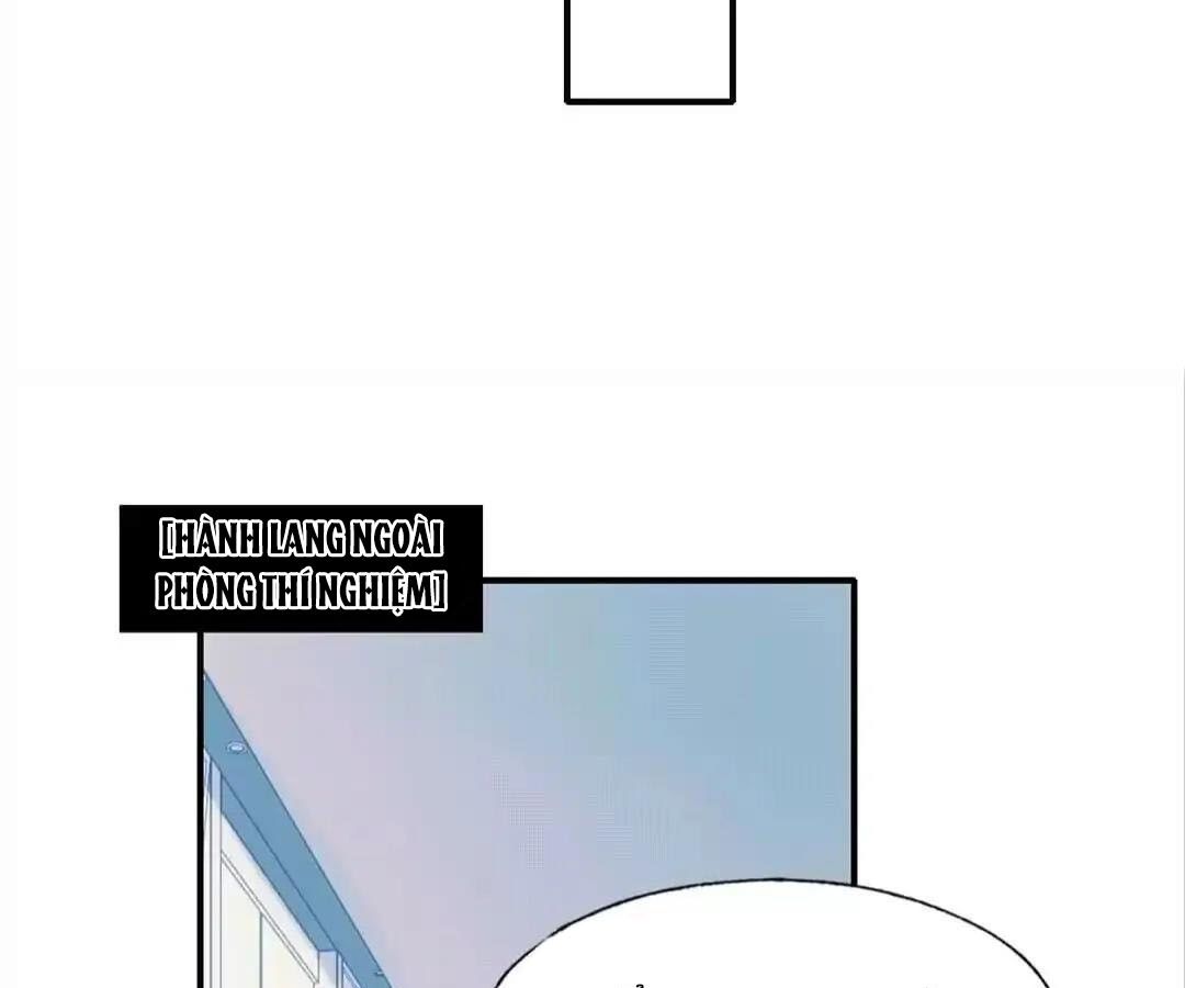 Thành Bại Vì Tiêu Hà Chapter 41 - Trang 2