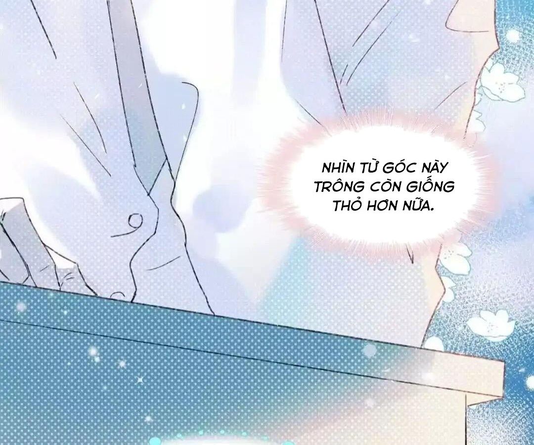 Thành Bại Vì Tiêu Hà Chapter 42 - Trang 2