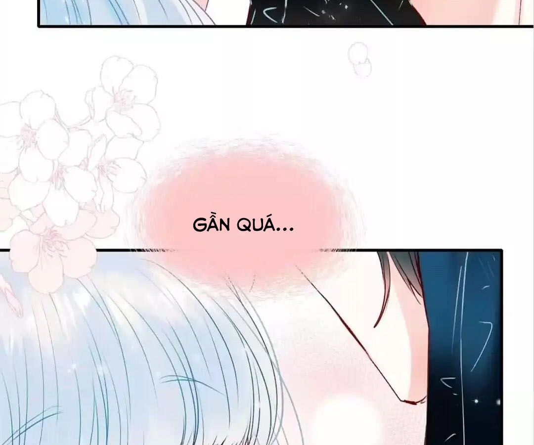 Thành Bại Vì Tiêu Hà Chapter 43 - Trang 2