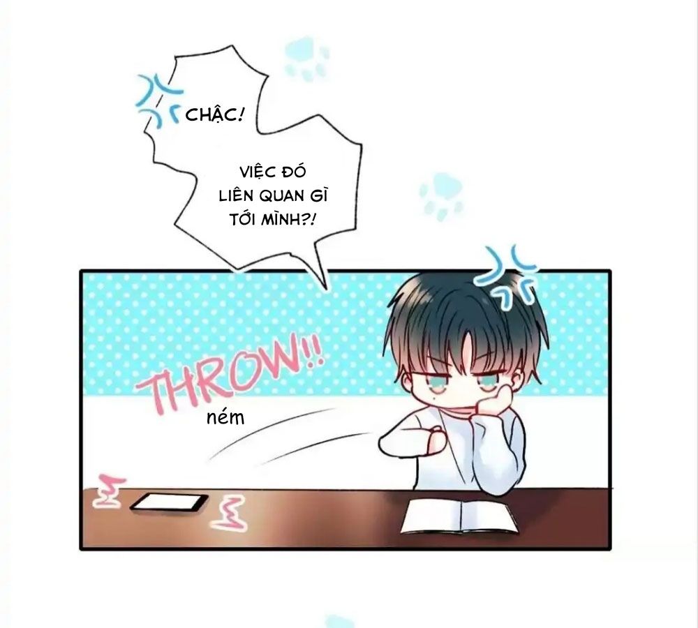 Thành Bại Vì Tiêu Hà Chapter 45 - Trang 2