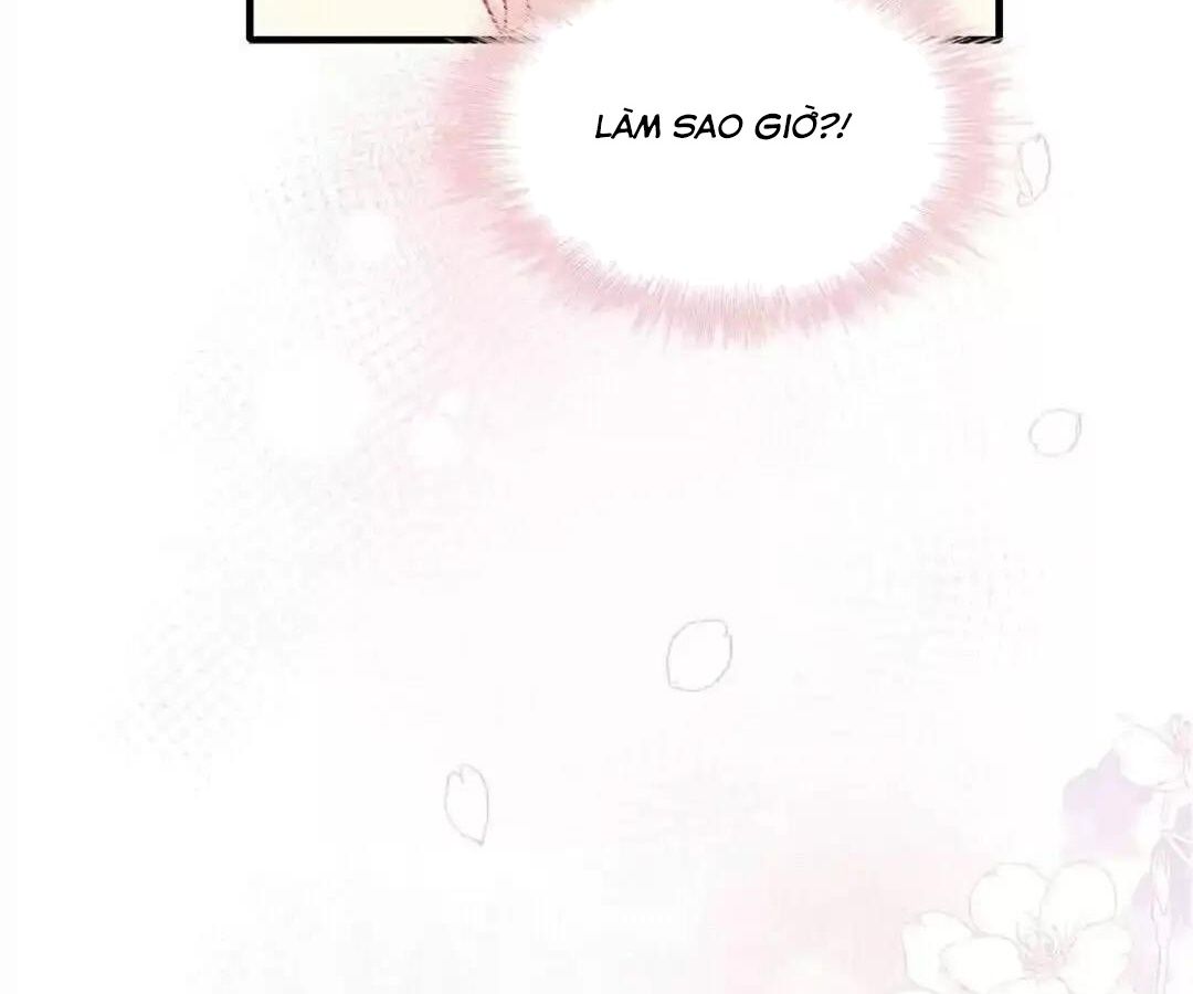 Thành Bại Vì Tiêu Hà Chapter 46 - Trang 2