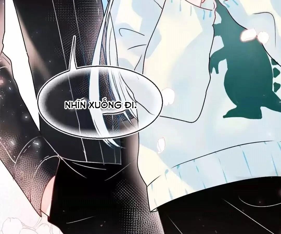 Thành Bại Vì Tiêu Hà Chapter 46 - Trang 2