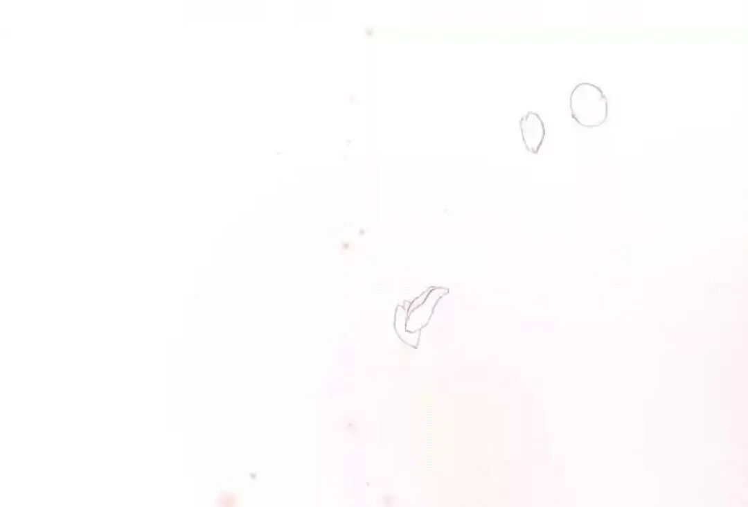 Thành Bại Vì Tiêu Hà Chapter 53 - Trang 2