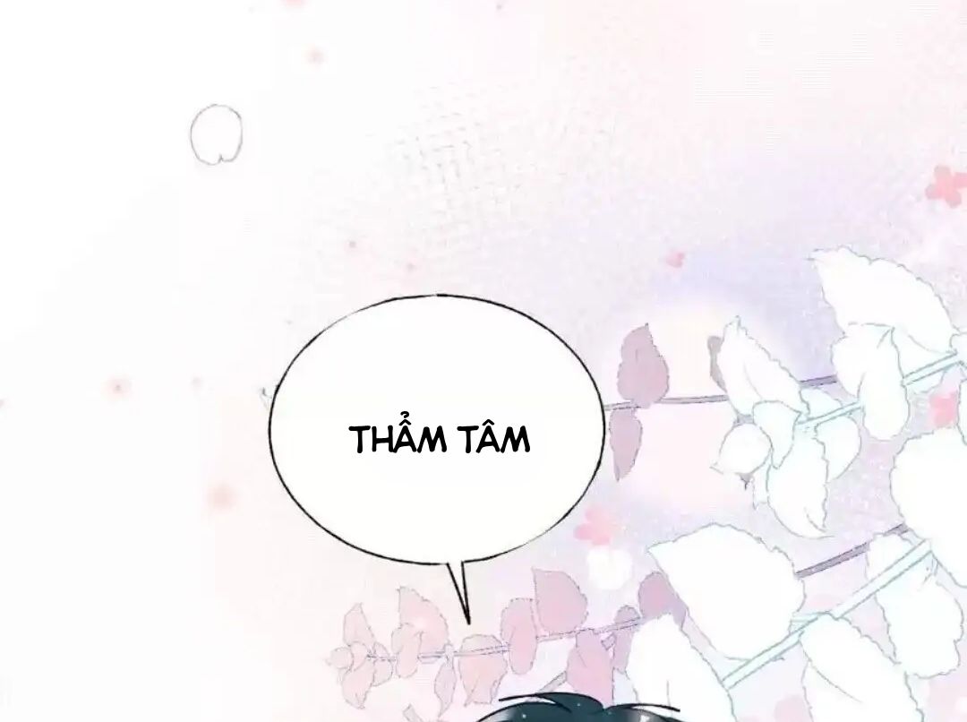 Thành Bại Vì Tiêu Hà Chapter 53 - Trang 2