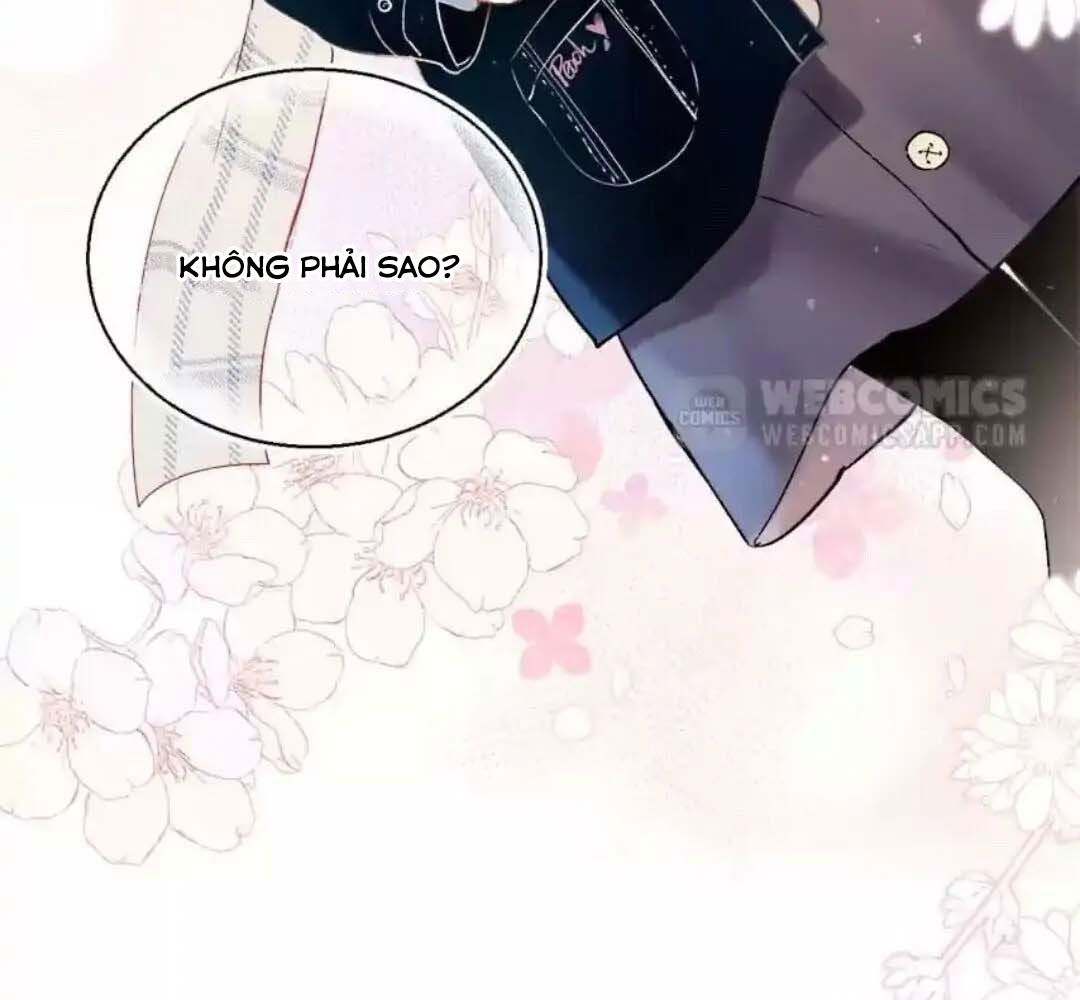 Thành Bại Vì Tiêu Hà Chapter 58 - Trang 2