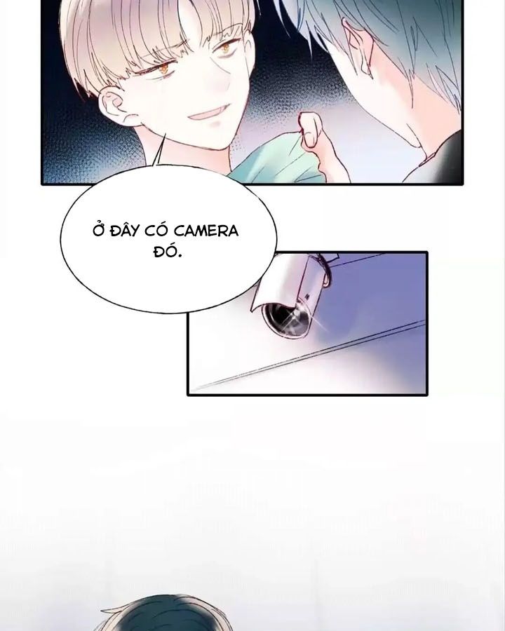 Thành Bại Vì Tiêu Hà Chapter 61 - Trang 2