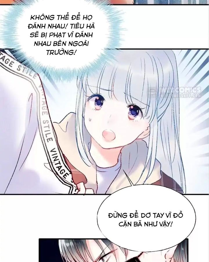 Thành Bại Vì Tiêu Hà Chapter 61 - Trang 2