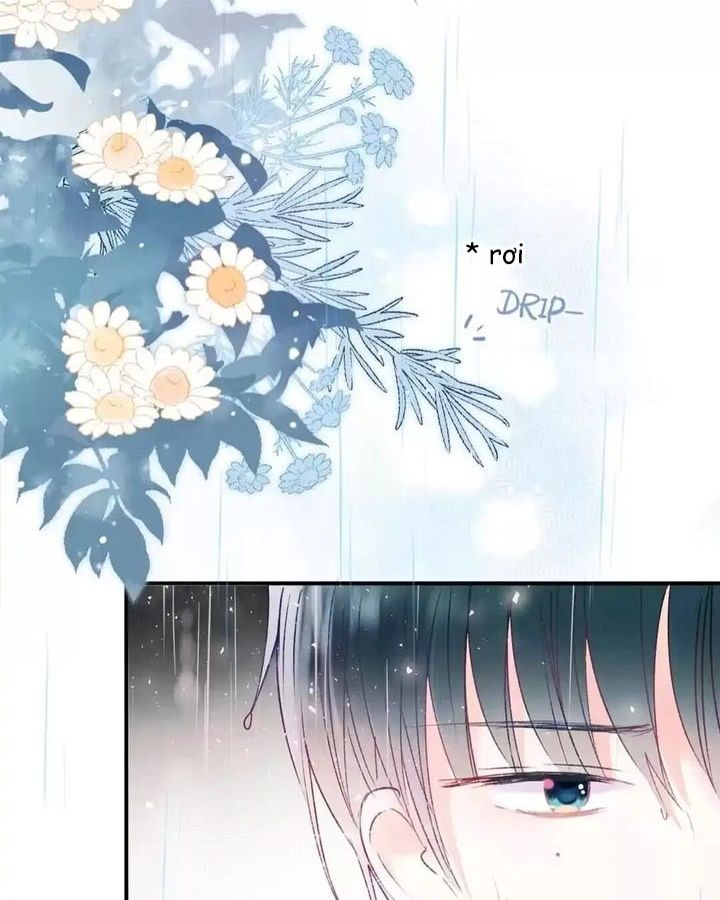 Thành Bại Vì Tiêu Hà Chapter 61 - Trang 2