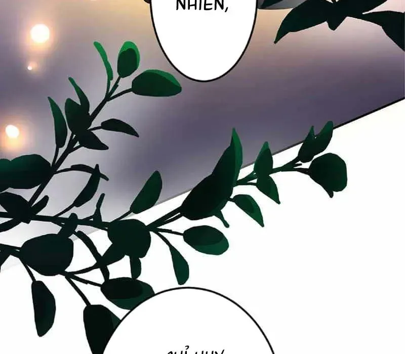 Pháp Sư Hỗ Trợ Bị Trục Xuất Trở Thành Hiền Giả Mạnh Nhất Chapter 4 - Trang 2