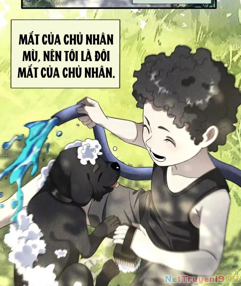 Cái Bóng Của Ta Là Loli Chapter 26 - Trang 2