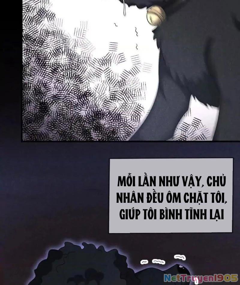 Cái Bóng Của Ta Là Loli Chapter 26 - Trang 2