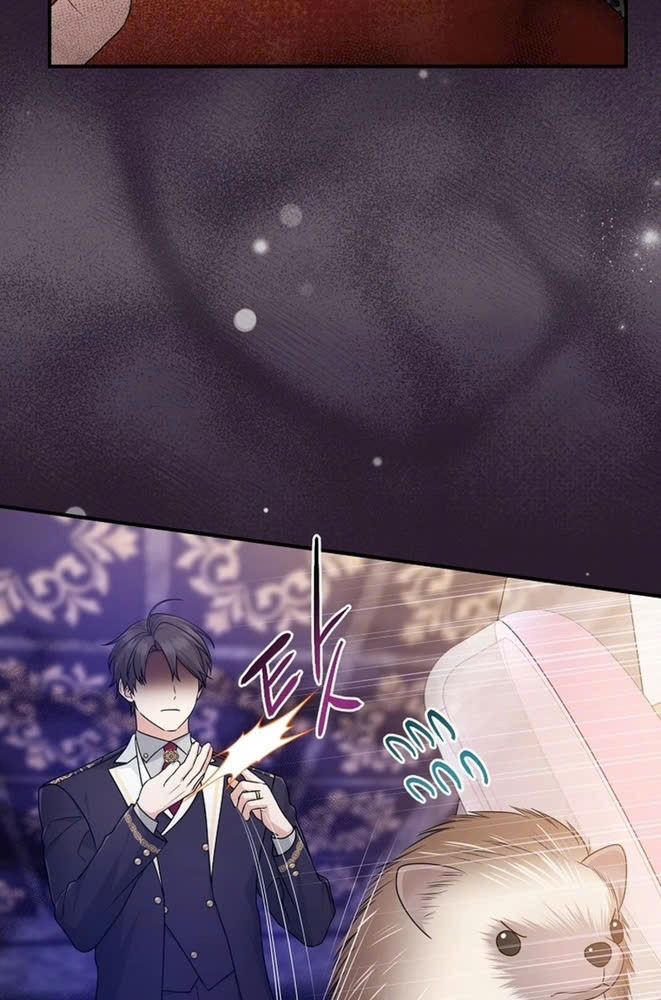 Tôi Đóng Vai Con Gái Nuôi Quá Giỏi Chapter 62 - Trang 2