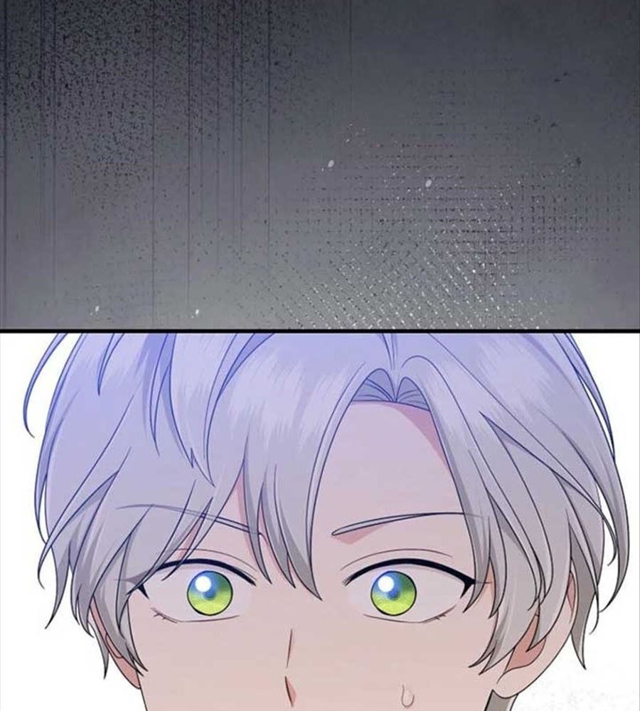 Tôi Đóng Vai Con Gái Nuôi Quá Giỏi Chapter 87 - Trang 2
