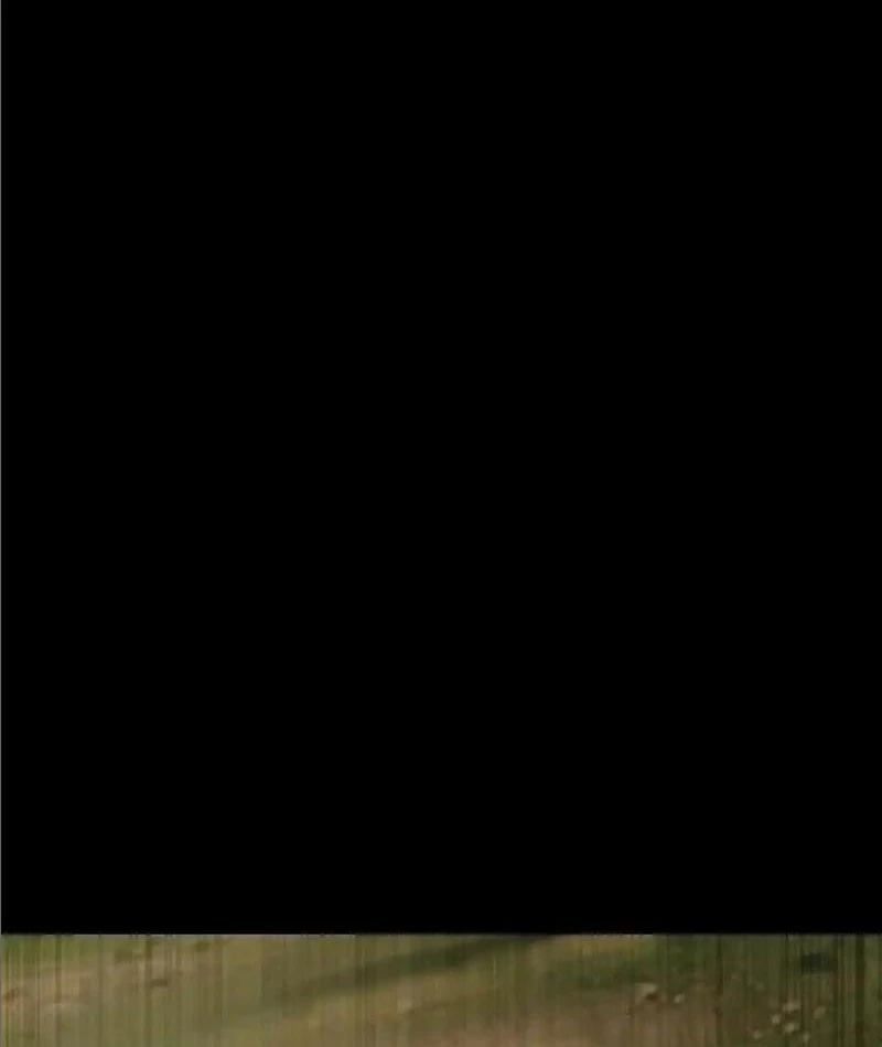 Ta Thăng Cấp Cùng Tai Ách Chapter 18 - Trang 2