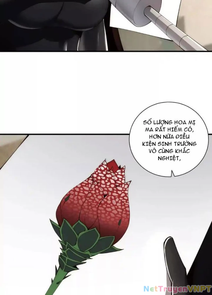 Ta Thăng Cấp Cùng Tai Ách Chapter 29 - Trang 2