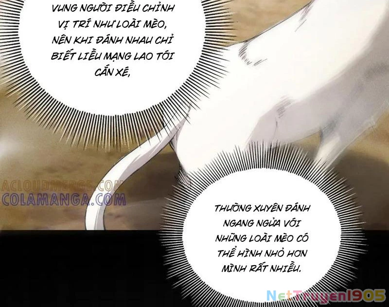 Ta Thăng Cấp Cùng Tai Ách Chapter 44 - Trang 2