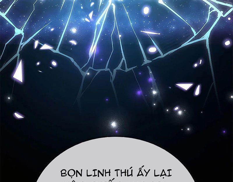 Tôi May Mắn Triệu Hồi Được Tinh Linh Hộ Vệ Hạng 10 Chapter 13 - Trang 2