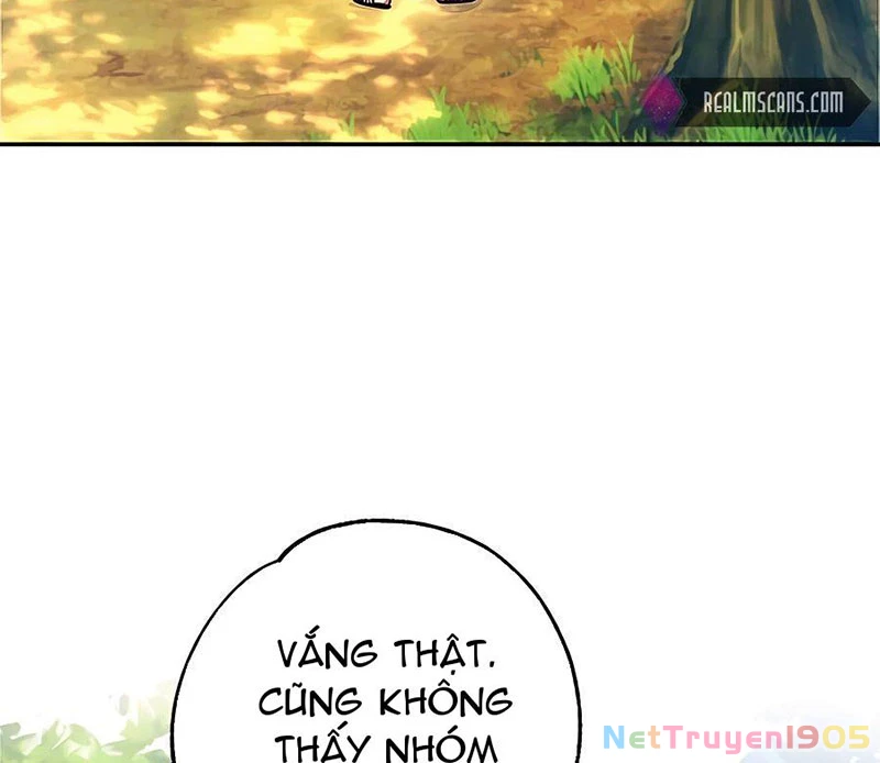 Tôi May Mắn Triệu Hồi Được Tinh Linh Hộ Vệ Hạng 10 Chapter 14 - Trang 2