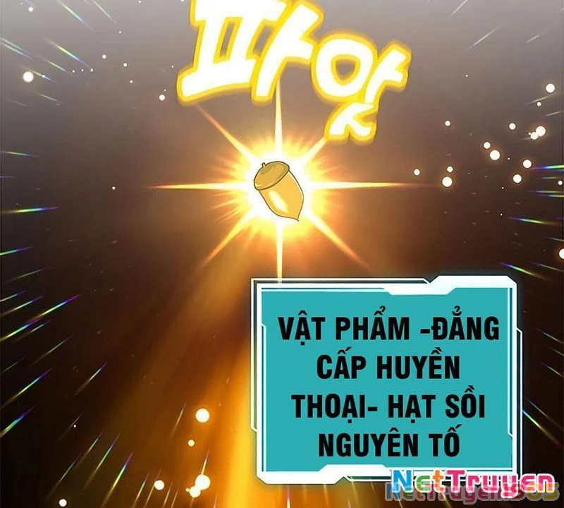 Tôi May Mắn Triệu Hồi Được Tinh Linh Hộ Vệ Hạng 10 Chapter 15 - Trang 2
