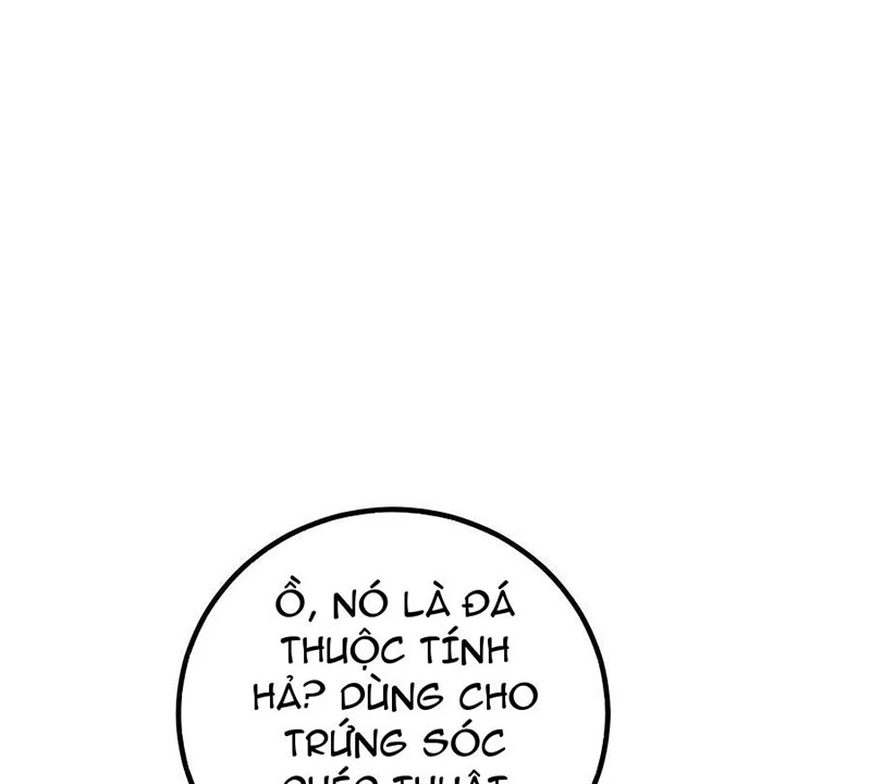 Tôi May Mắn Triệu Hồi Được Tinh Linh Hộ Vệ Hạng 10 Chapter 15 - Trang 2