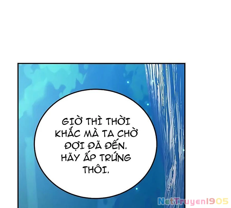 Tôi May Mắn Triệu Hồi Được Tinh Linh Hộ Vệ Hạng 10 Chapter 15 - Trang 2