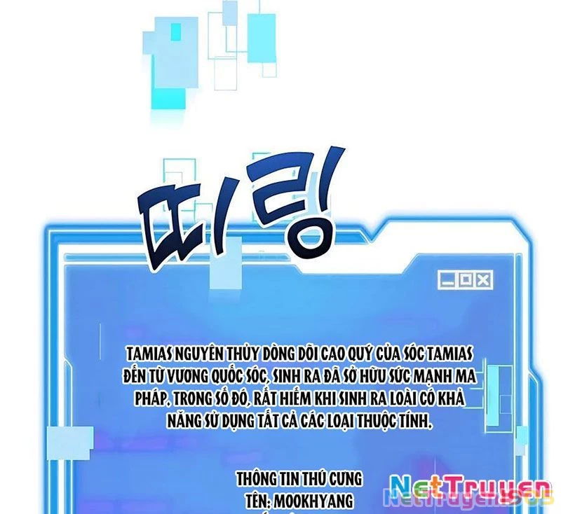 Tôi May Mắn Triệu Hồi Được Tinh Linh Hộ Vệ Hạng 10 Chapter 15 - Trang 2