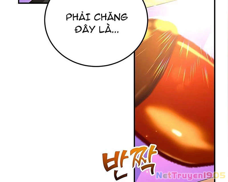 Tôi May Mắn Triệu Hồi Được Tinh Linh Hộ Vệ Hạng 10 Chapter 15 - Trang 2