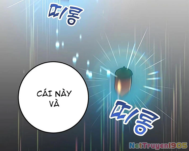 Tôi May Mắn Triệu Hồi Được Tinh Linh Hộ Vệ Hạng 10 Chapter 15 - Trang 2