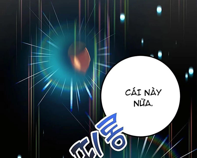 Tôi May Mắn Triệu Hồi Được Tinh Linh Hộ Vệ Hạng 10 Chapter 15 - Trang 2