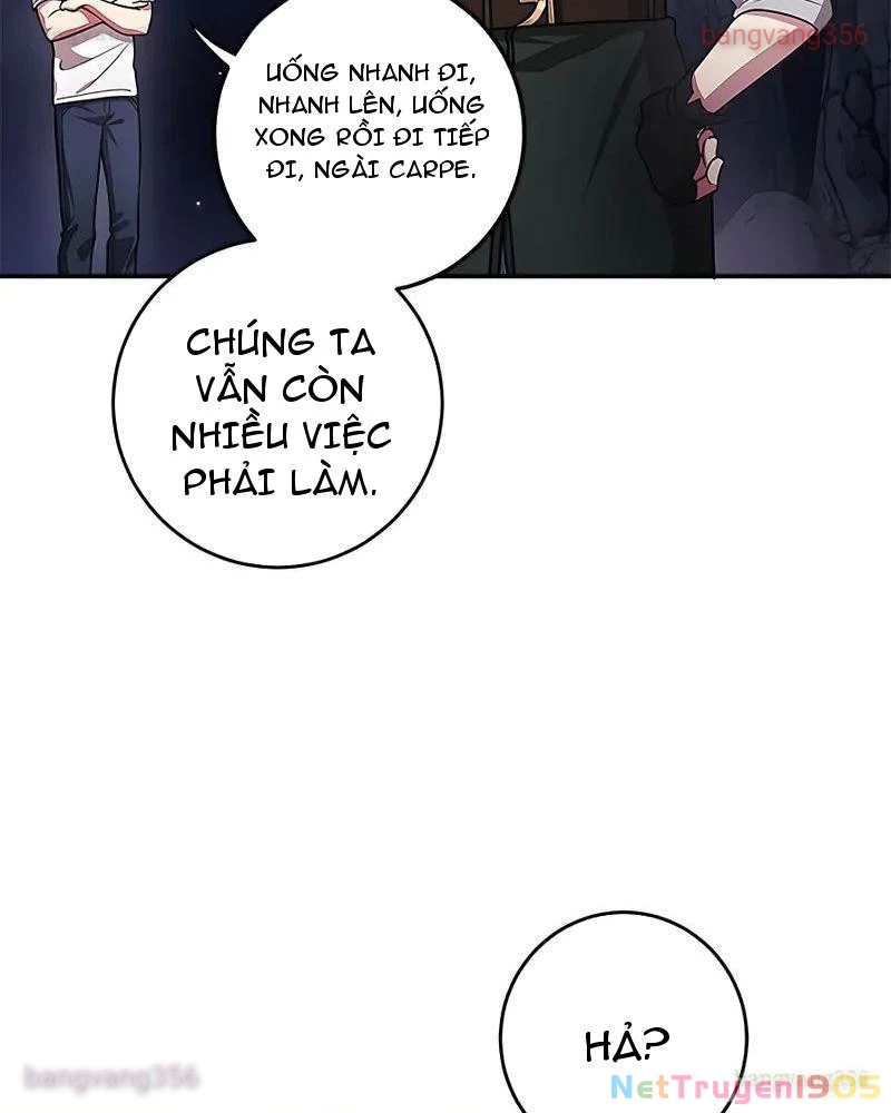 Tôi May Mắn Triệu Hồi Được Tinh Linh Hộ Vệ Hạng 10 Chapter 17 - Trang 2