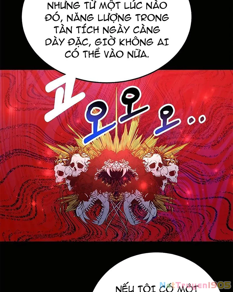 Tôi May Mắn Triệu Hồi Được Tinh Linh Hộ Vệ Hạng 10 Chapter 18 - Trang 2