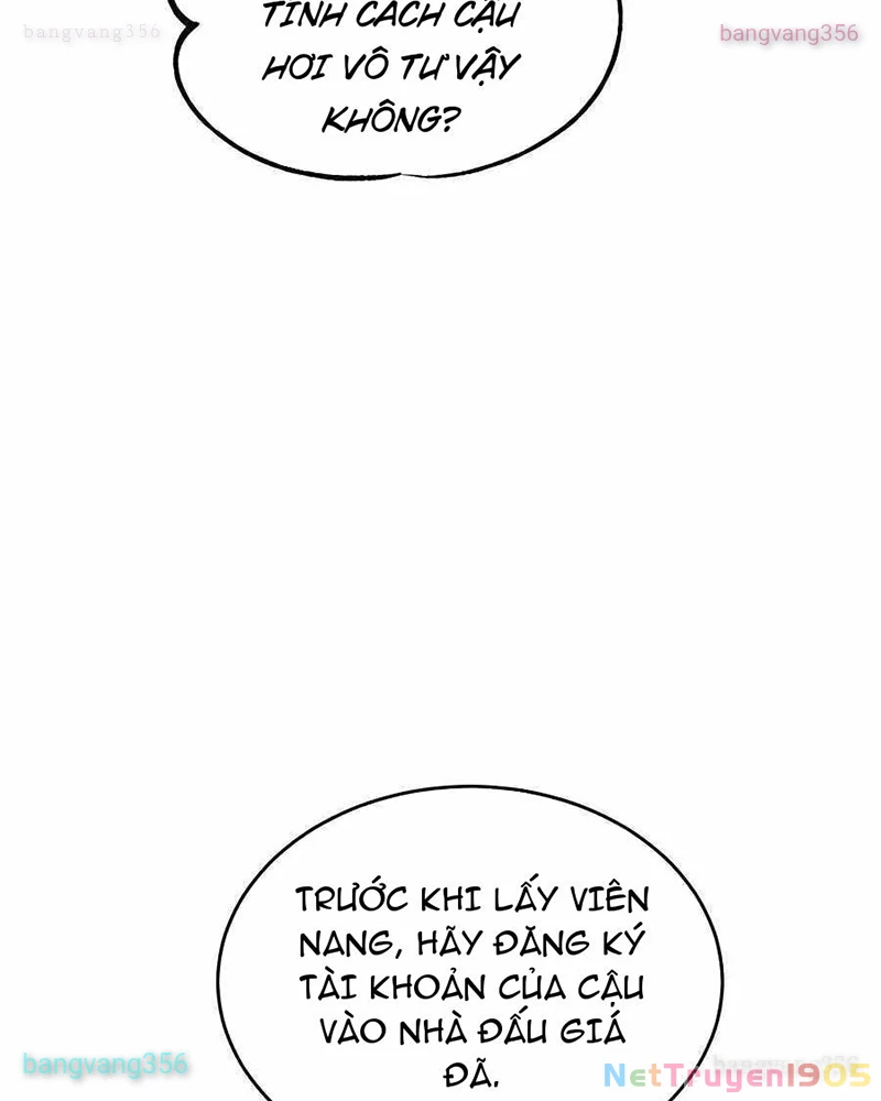 Tôi May Mắn Triệu Hồi Được Tinh Linh Hộ Vệ Hạng 10 Chapter 19 - Trang 2