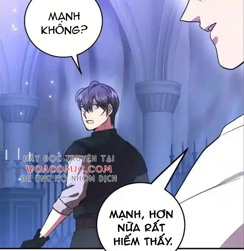 Tôi May Mắn Triệu Hồi Được Tinh Linh Hộ Vệ Hạng 10 Chapter 23 - Trang 2