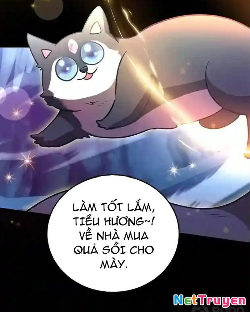 Tôi May Mắn Triệu Hồi Được Tinh Linh Hộ Vệ Hạng 10 Chapter 23 - Trang 2