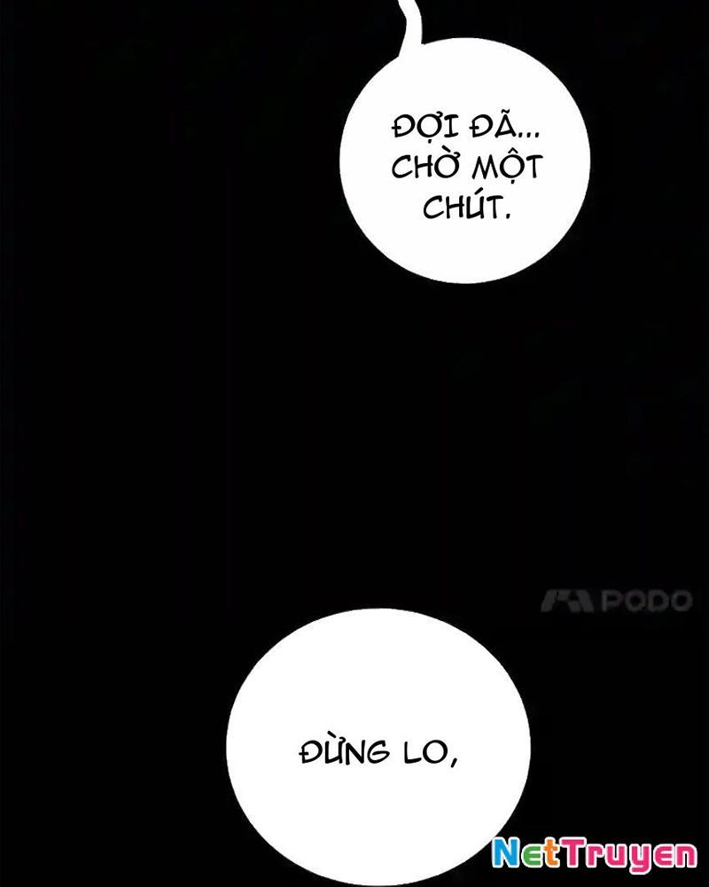 Tôi May Mắn Triệu Hồi Được Tinh Linh Hộ Vệ Hạng 10 Chapter 23 - Trang 2