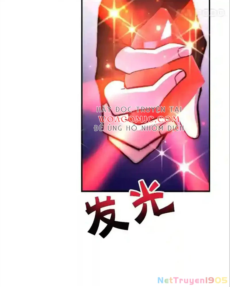 Tôi May Mắn Triệu Hồi Được Tinh Linh Hộ Vệ Hạng 10 Chapter 24 - Trang 2