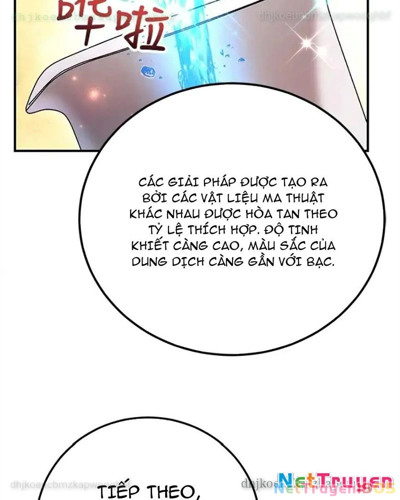 Tôi May Mắn Triệu Hồi Được Tinh Linh Hộ Vệ Hạng 10 Chapter 25 - Trang 2