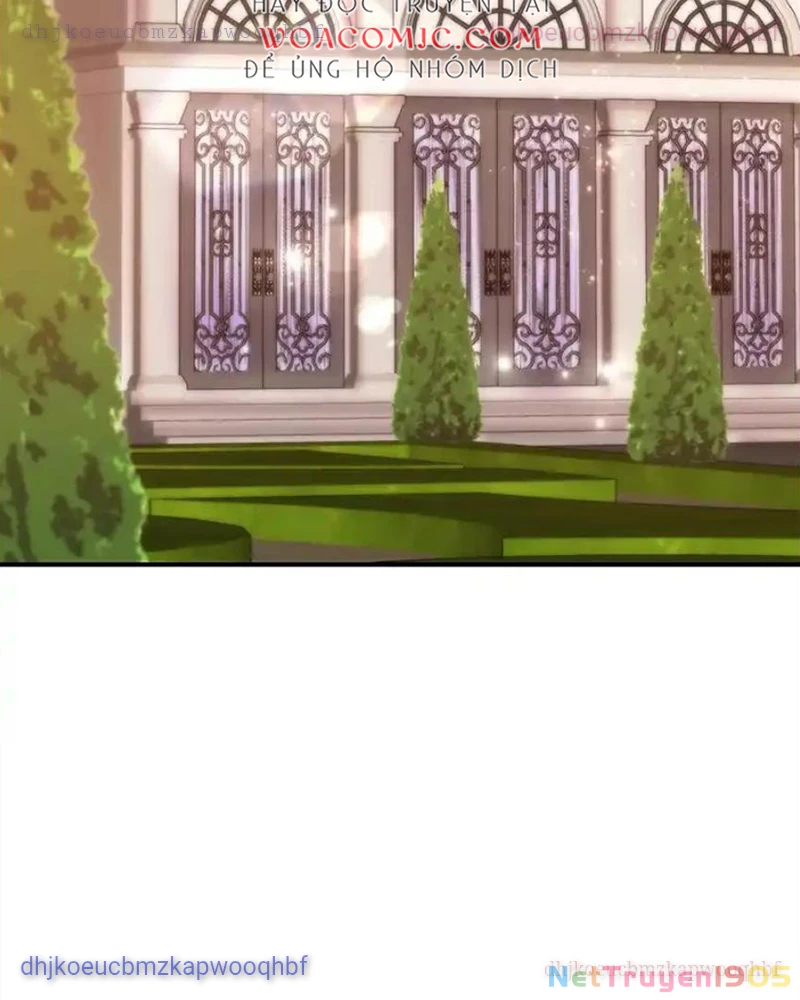 Tôi May Mắn Triệu Hồi Được Tinh Linh Hộ Vệ Hạng 10 Chapter 25 - Trang 2