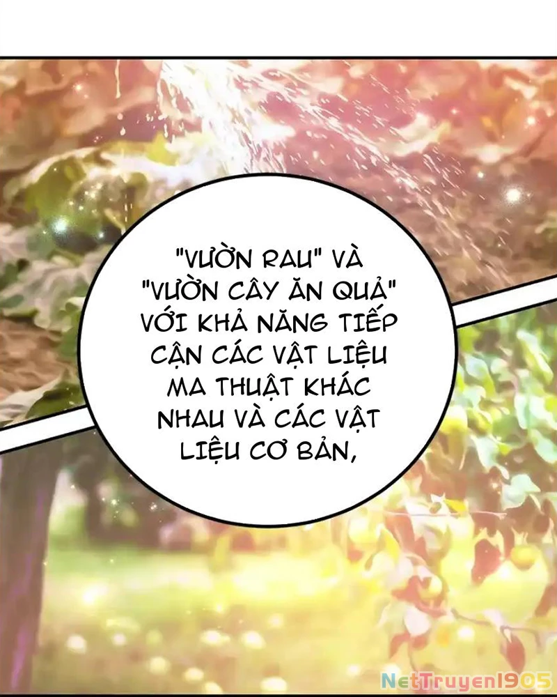 Tôi May Mắn Triệu Hồi Được Tinh Linh Hộ Vệ Hạng 10 Chapter 25 - Trang 2