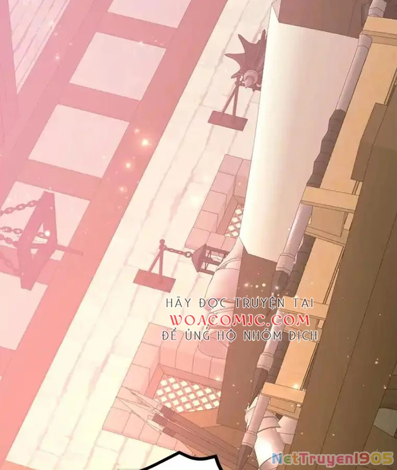 Tôi May Mắn Triệu Hồi Được Tinh Linh Hộ Vệ Hạng 10 Chapter 25 - Trang 2