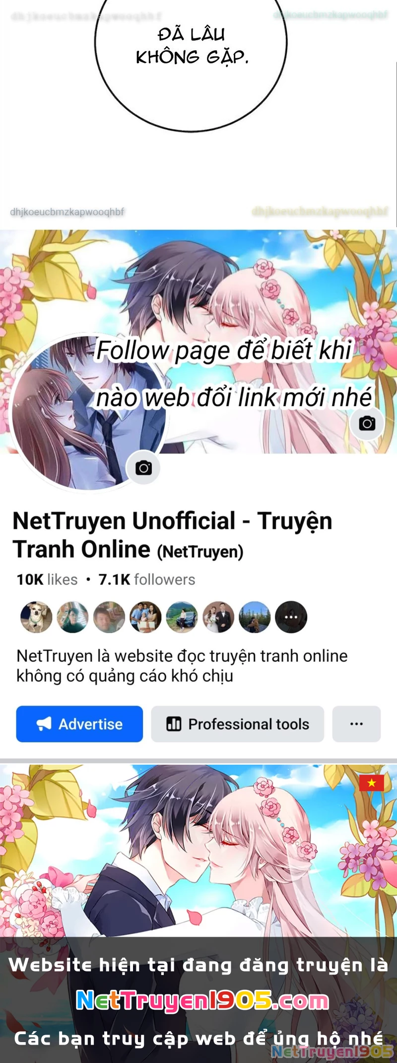 Tôi May Mắn Triệu Hồi Được Tinh Linh Hộ Vệ Hạng 10 Chapter 26 - Trang 2