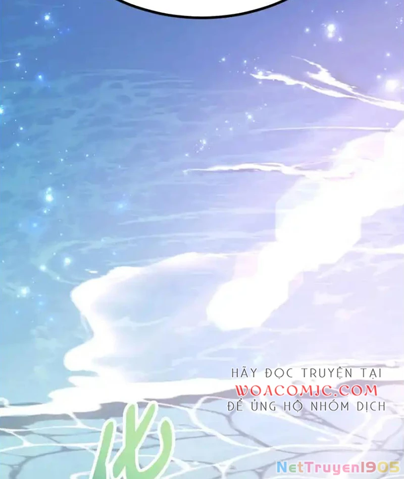 Tôi May Mắn Triệu Hồi Được Tinh Linh Hộ Vệ Hạng 10 Chapter 26 - Trang 2