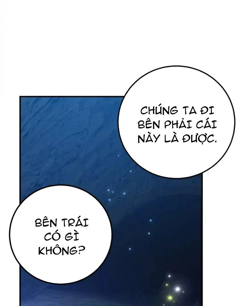 Tôi May Mắn Triệu Hồi Được Tinh Linh Hộ Vệ Hạng 10 Chapter 27 - Trang 2