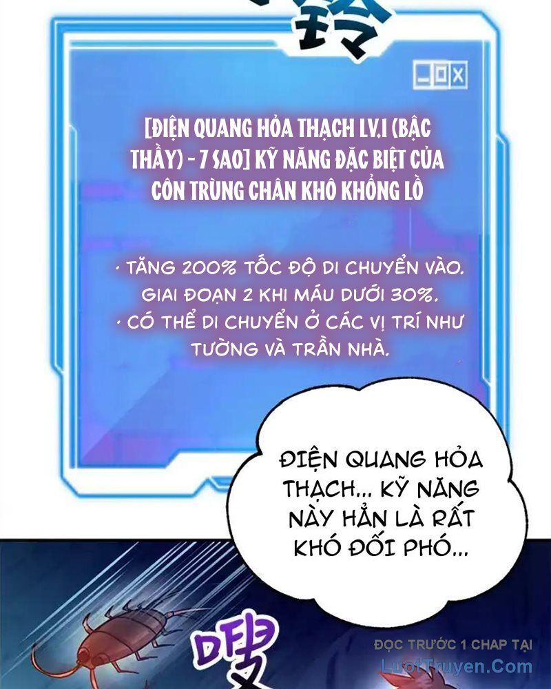 Tôi May Mắn Triệu Hồi Được Tinh Linh Hộ Vệ Hạng 10 Chapter 28 - Trang 2