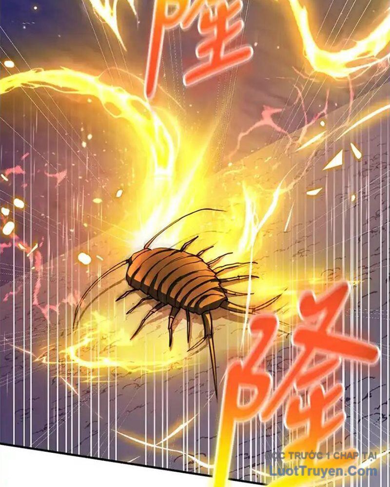 Tôi May Mắn Triệu Hồi Được Tinh Linh Hộ Vệ Hạng 10 Chapter 28 - Trang 2