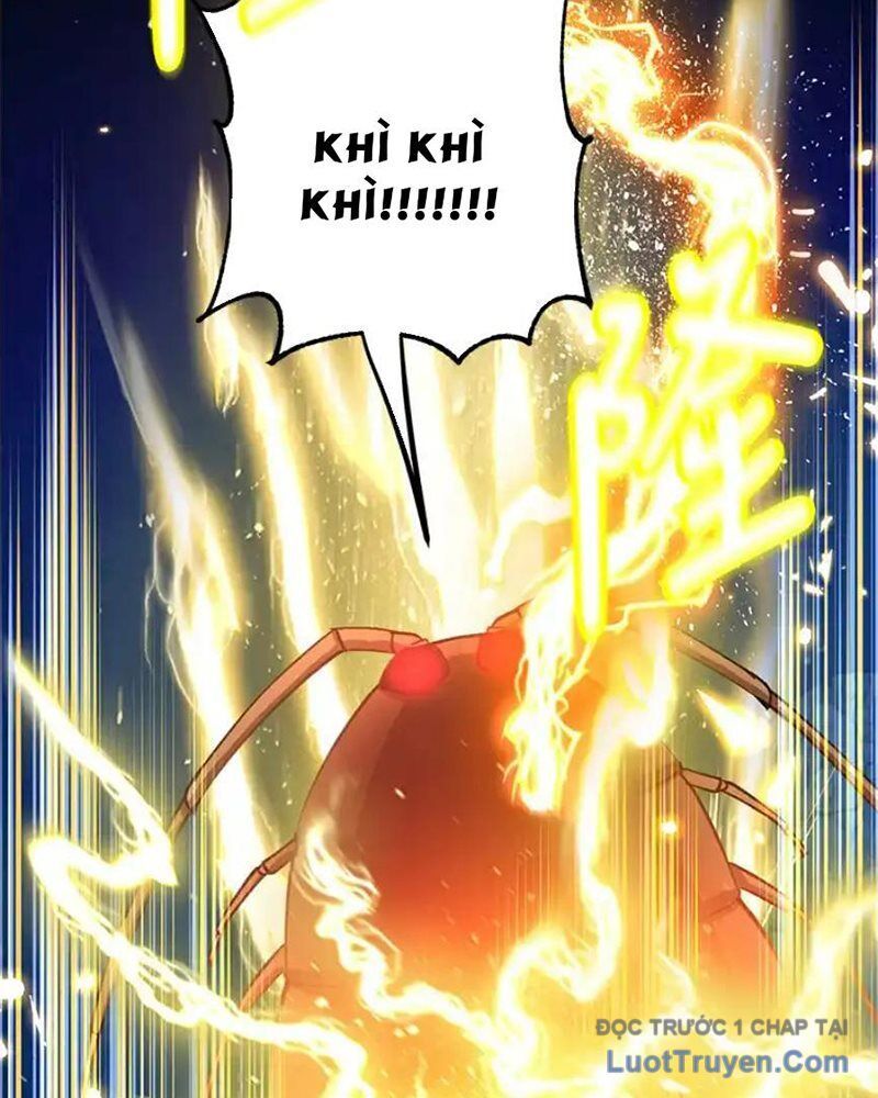 Tôi May Mắn Triệu Hồi Được Tinh Linh Hộ Vệ Hạng 10 Chapter 28 - Trang 2